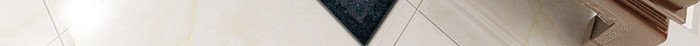 深蓝色新中式花鸟植物图案印花地毯
