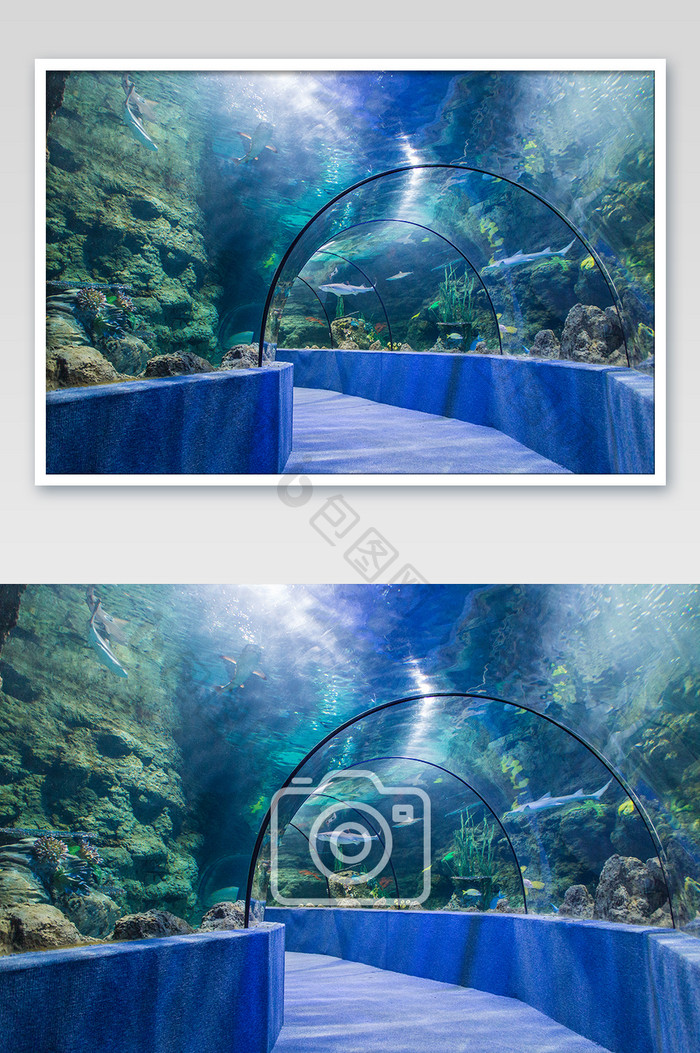 美丽海底隧道摄影图