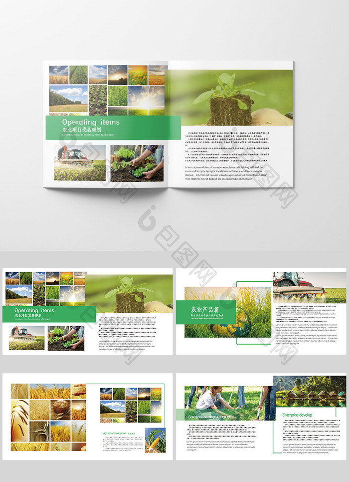 绿色高端品牌农业宣传册
