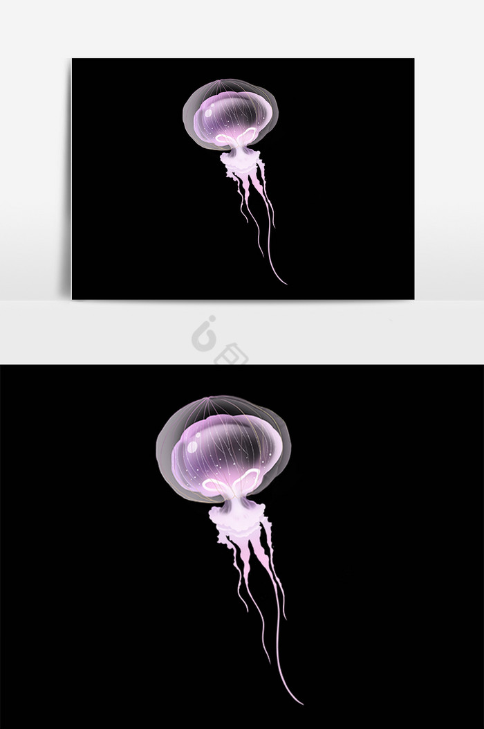 海洋生物水母插画图片