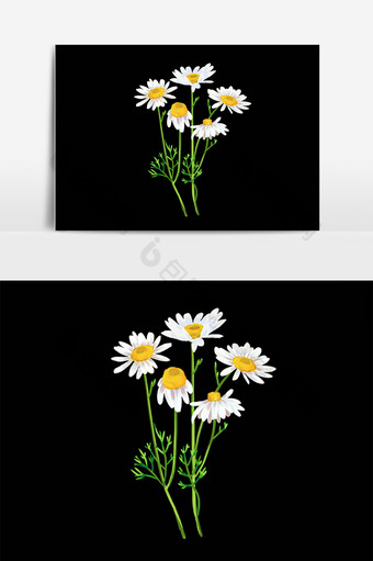 手绘植物花朵花卉洋甘菊插画图片