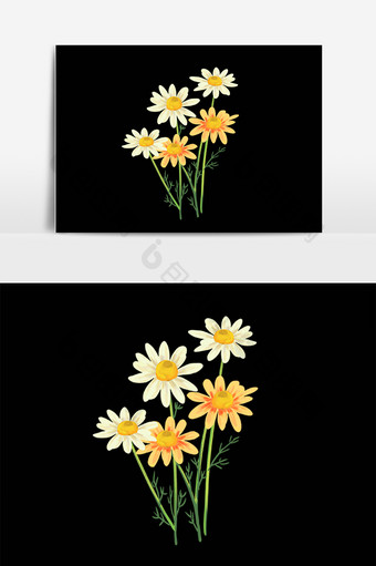 手绘植物花卉洋甘菊花朵插画图片