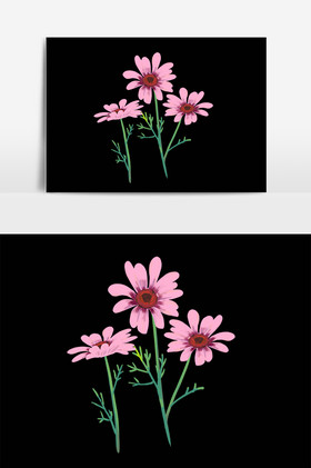 植物花卉洋甘菊插画图片