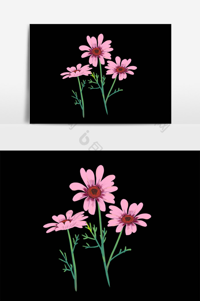 植物花卉洋甘菊插画图片图片