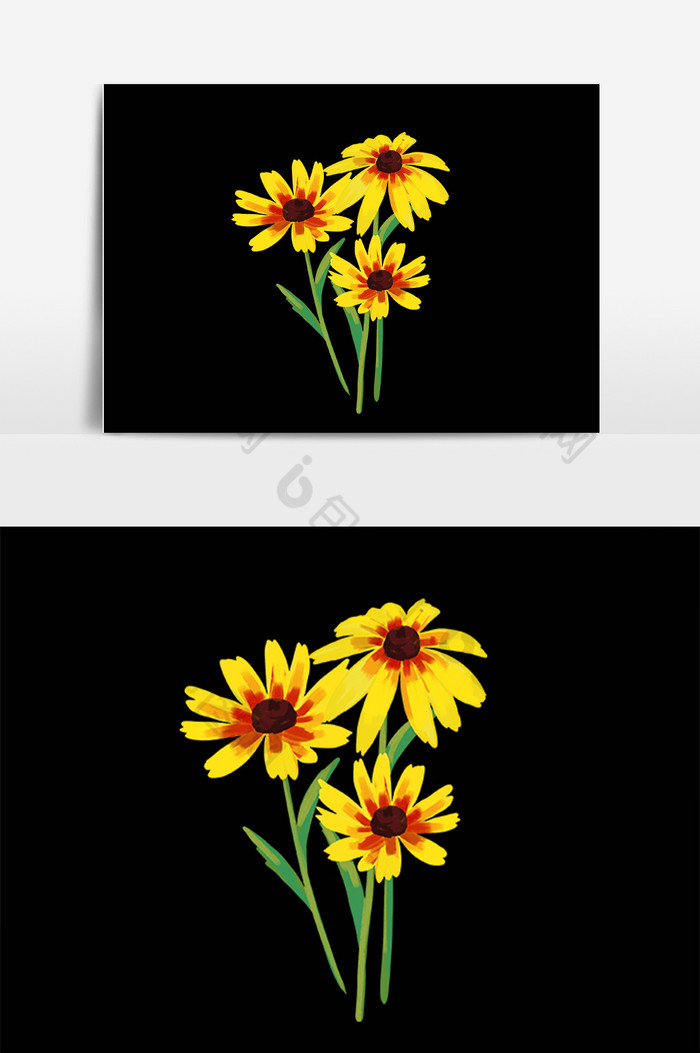 植物花卉洋甘菊插画图片图片