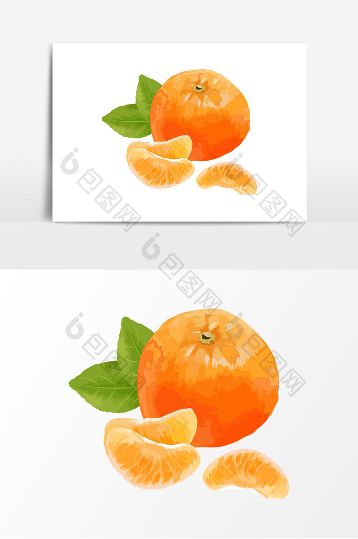 小清新手绘橘子插画元素