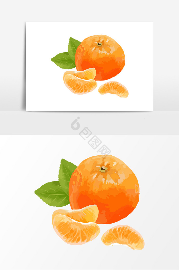 橘子插画图片