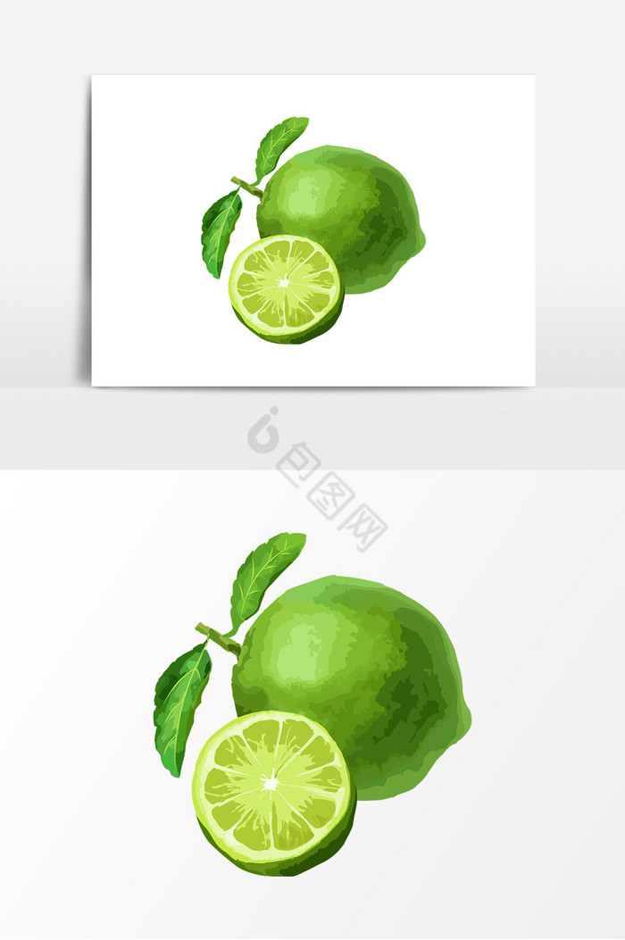 青柠檬插画图片