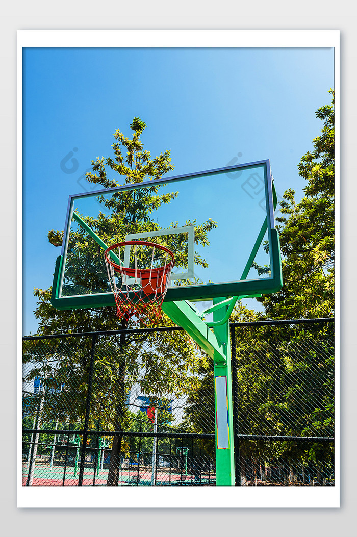 夏季球场篮板摄影图片