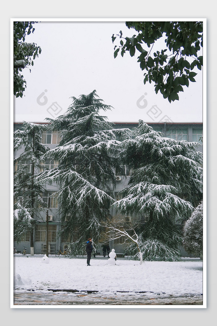 雪天松树雪人雪景冬天摄影图