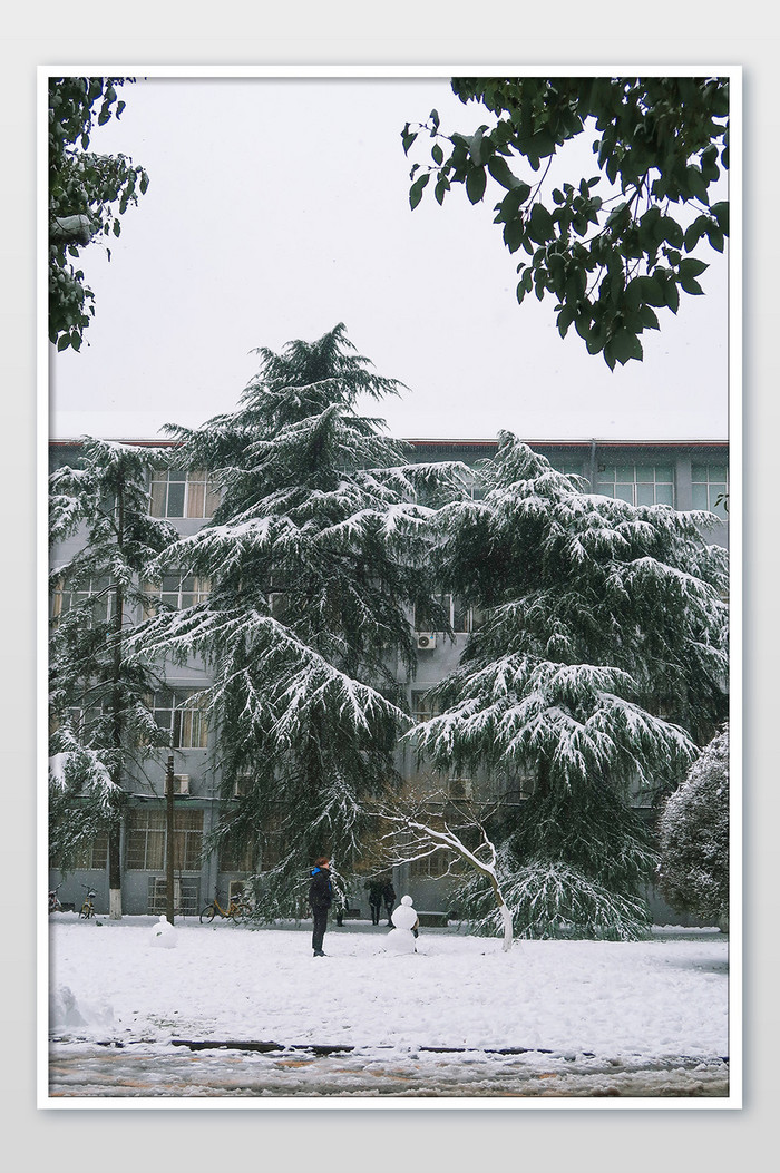 雪天松树雪人雪景冬天摄影图图片