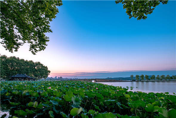 舒缓唯美开场浪漫短旋律钢琴背景音效