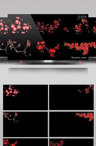 梅花枝叶随风摆动带透明通道视频素材图片