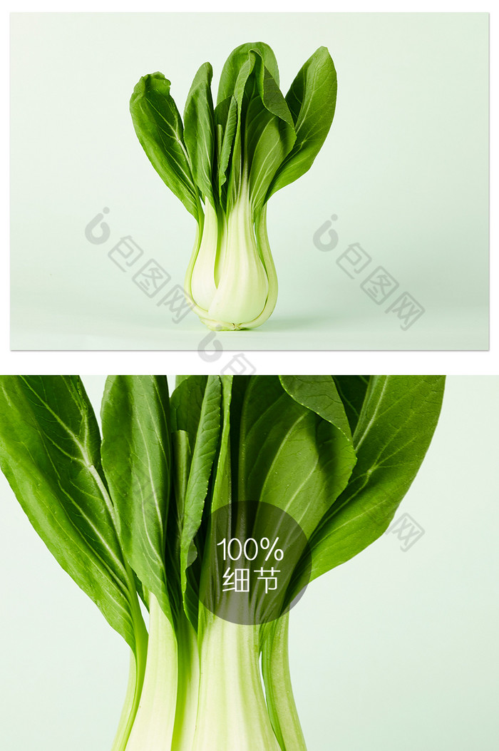 绿色小白菜叶子绿色背景美食蔬菜摄影图图片图片