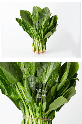 绿色菠菜叶子蔬菜白底图美食摄影图