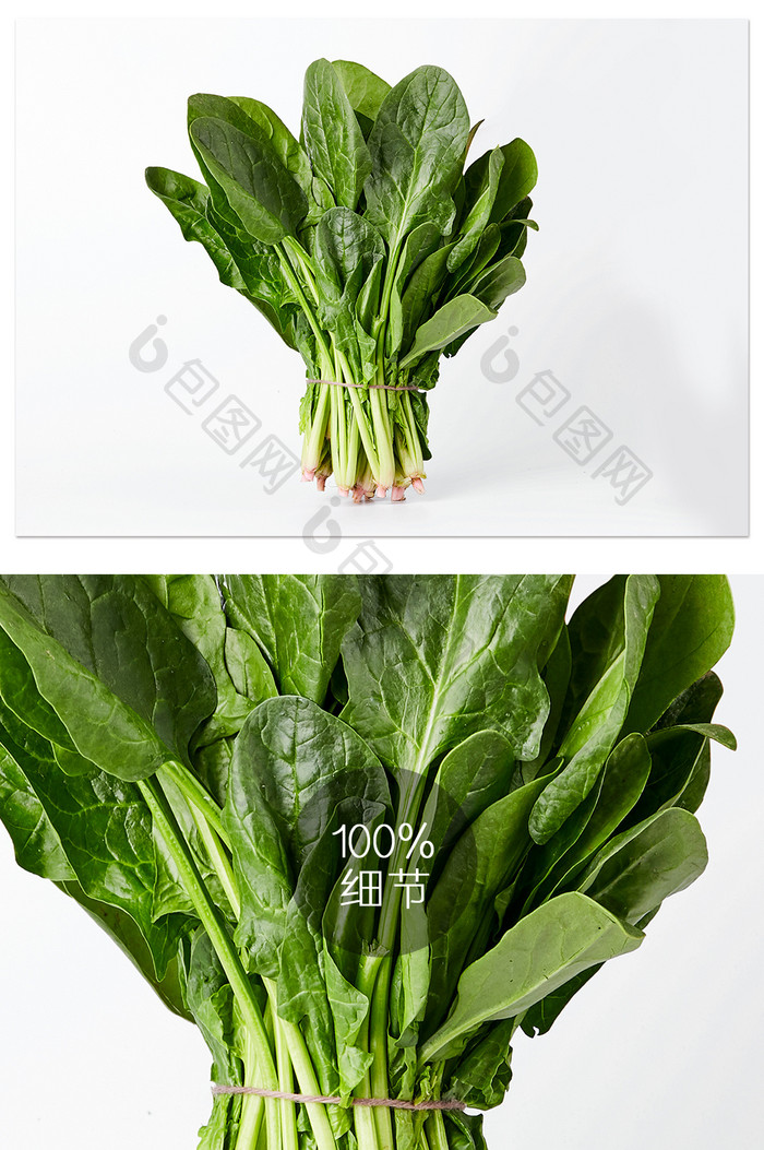 绿色菠菜叶子蔬菜白底图美食摄影图