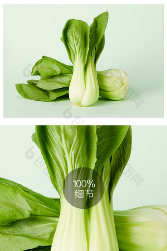 绿色小白菜青菜叶子蔬菜新鲜摄影图片