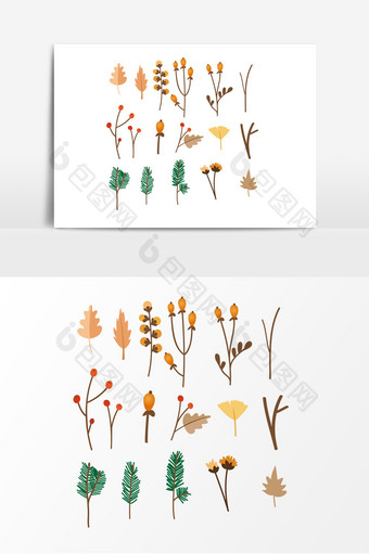 秋季植物树木树枝设计素材图片