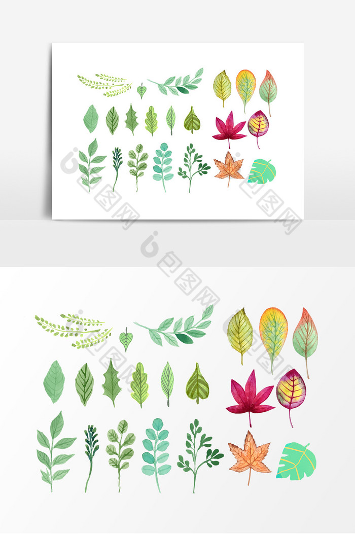 树叶植物叶片图片图片