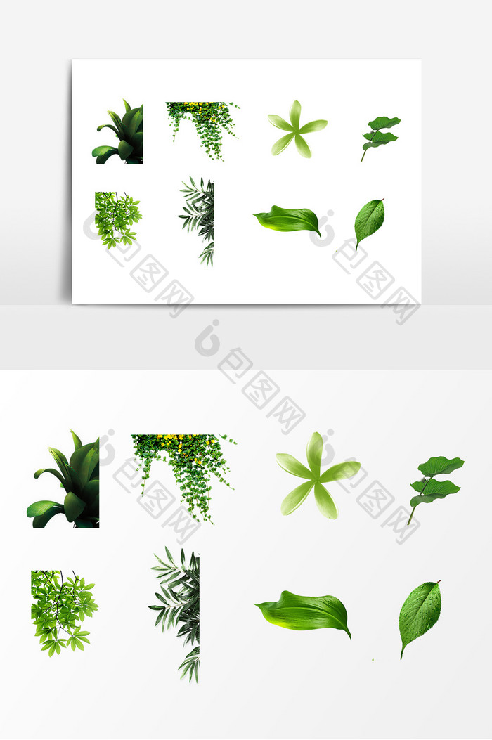 卡通绿色植物叶片元素