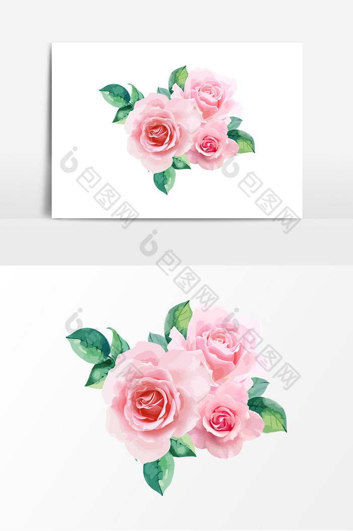 色彩艳丽的花朵玫瑰花图片图片