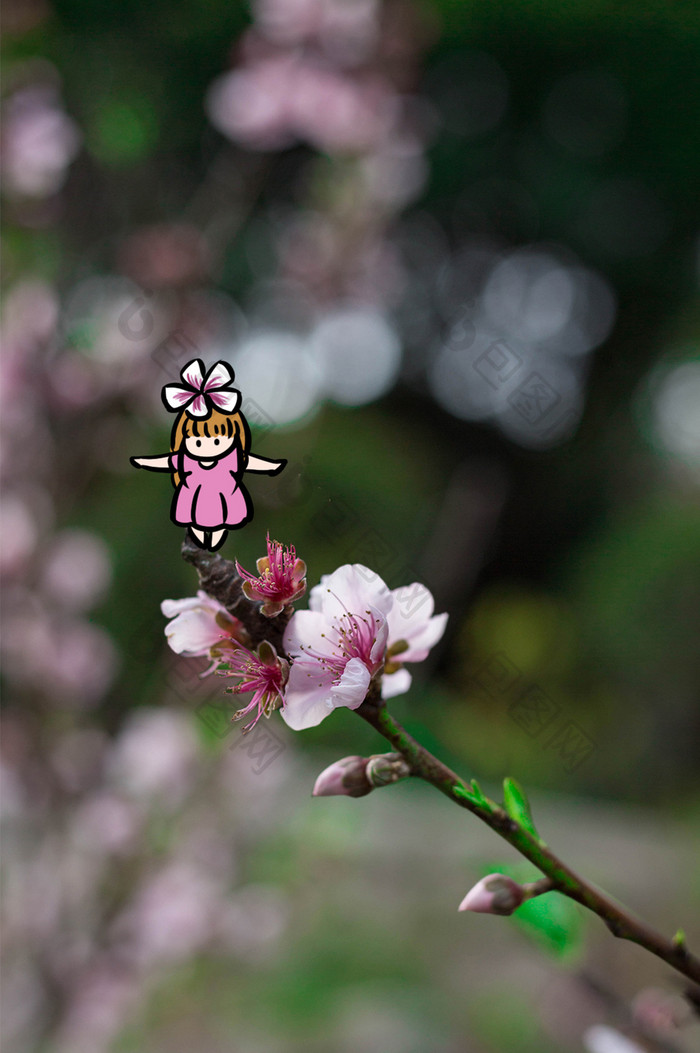 清新春天盛开桃花花卉创意摄影插画gif
