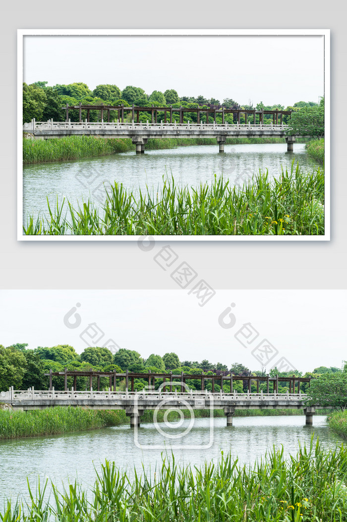 湿地河流景观桥摄影图