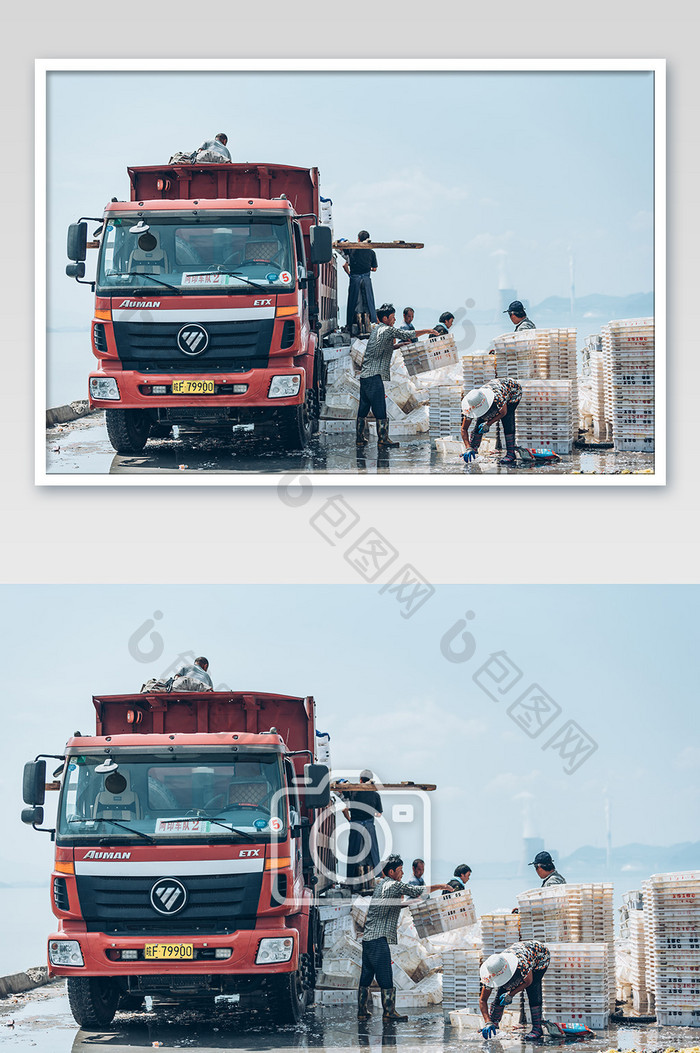 奉化莼湖桐照渔村码头海鲜运输摄影图片