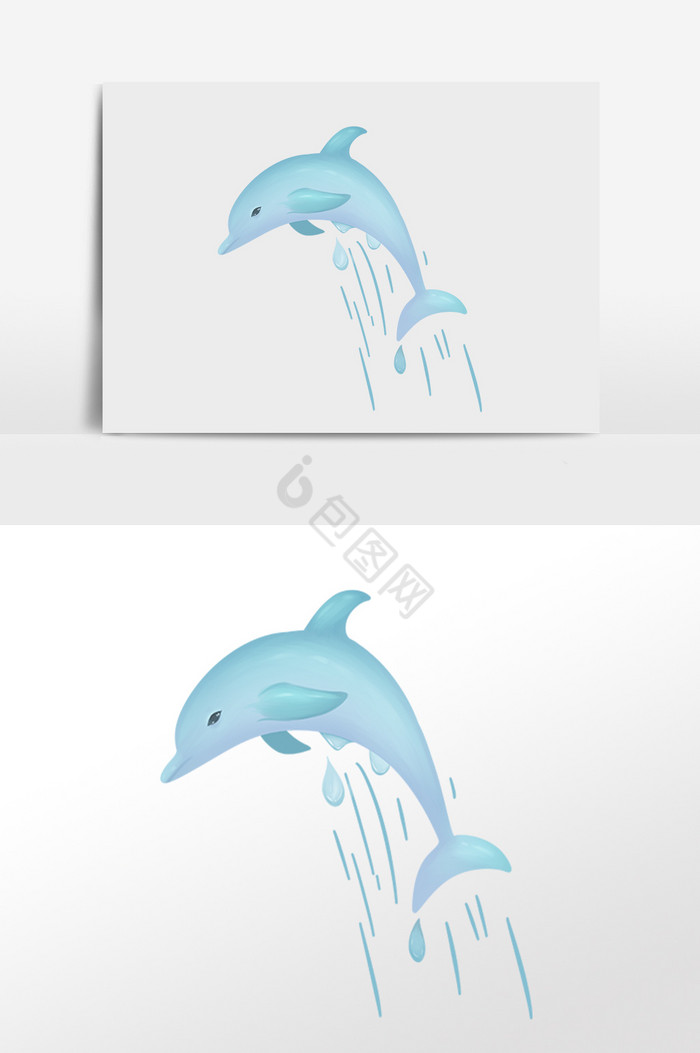 海洋生物戏水跳跃海豚插画图片
