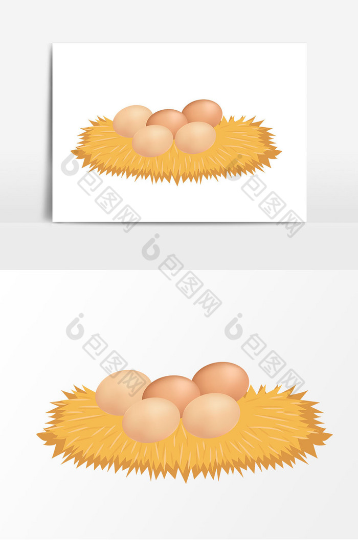 鸡窝鸡蛋图片图片