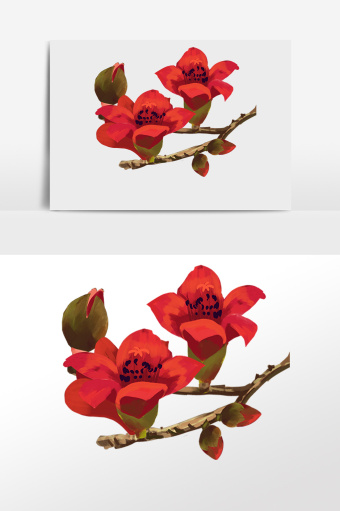手绘花卉植物木棉花花枝插画图片下载