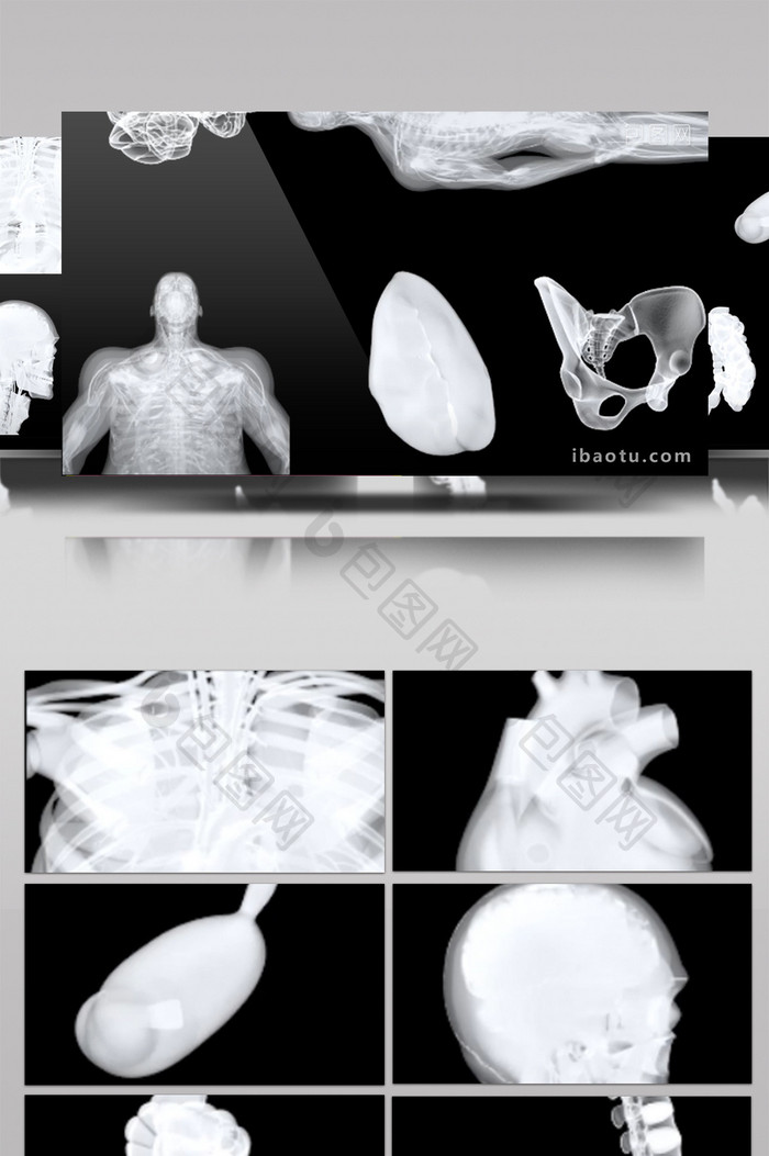 三维透明玻璃医学生物人体各种部分素材