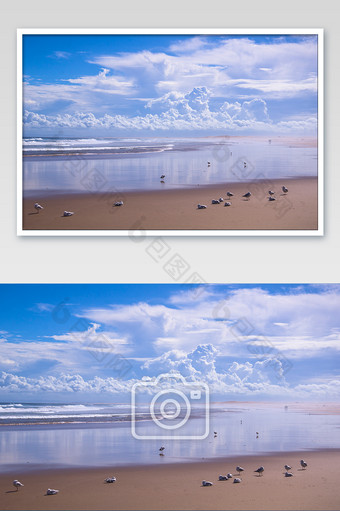 纽卡斯尔安娜湾小憩的海鸥摄影图片