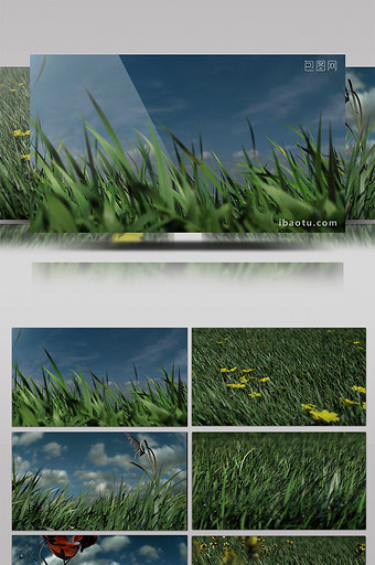 真实绿草草地带通道特效元素素材视频图片