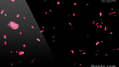 3款玫瑰花瓣动画带通道特效元素素材视频