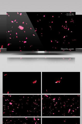 3款玫瑰花瓣动画带通道特效元素素材视频图片