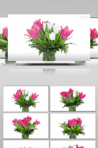 郁金香花束图片 郁金香花束素材 包图网