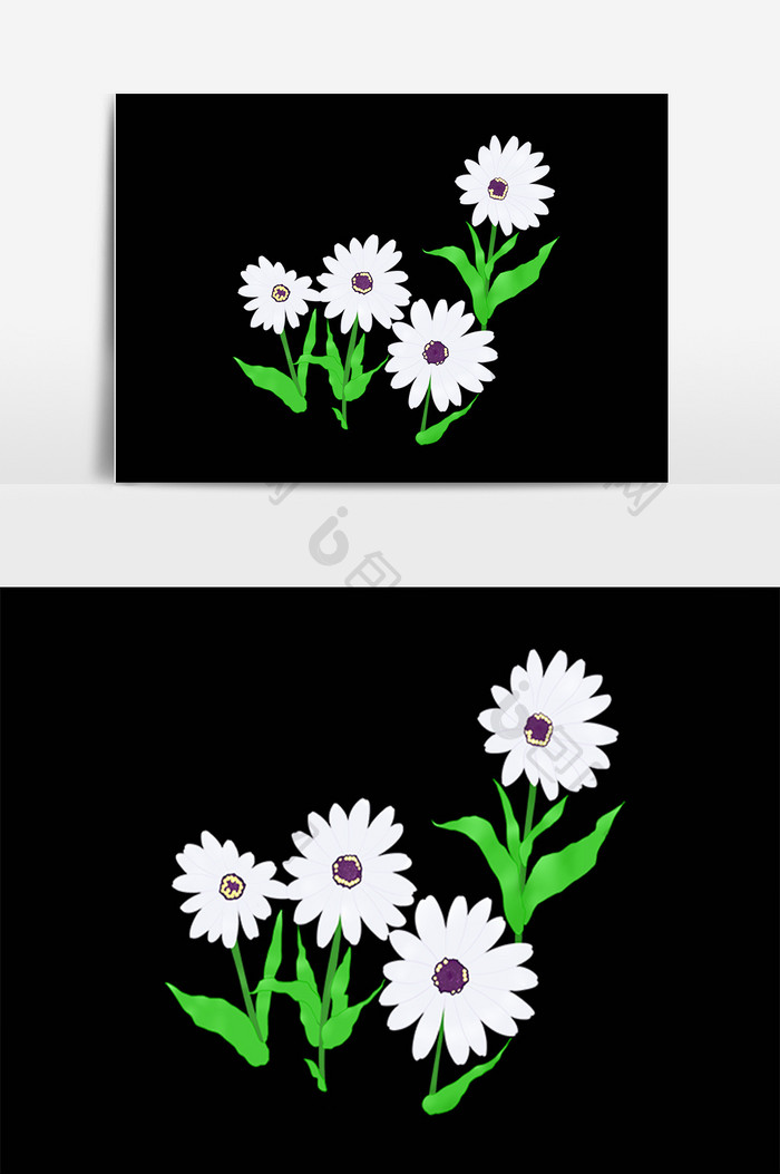 手绘植物花开白色洋甘菊插画