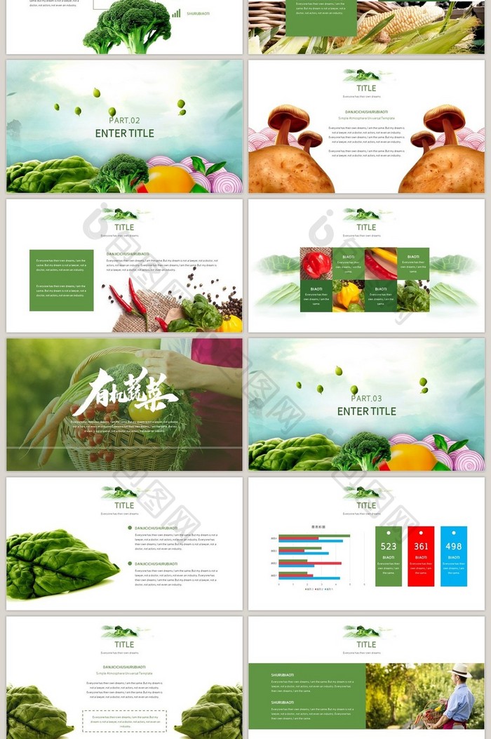 绿色有机蔬菜食品安全商业计划书PPT模板