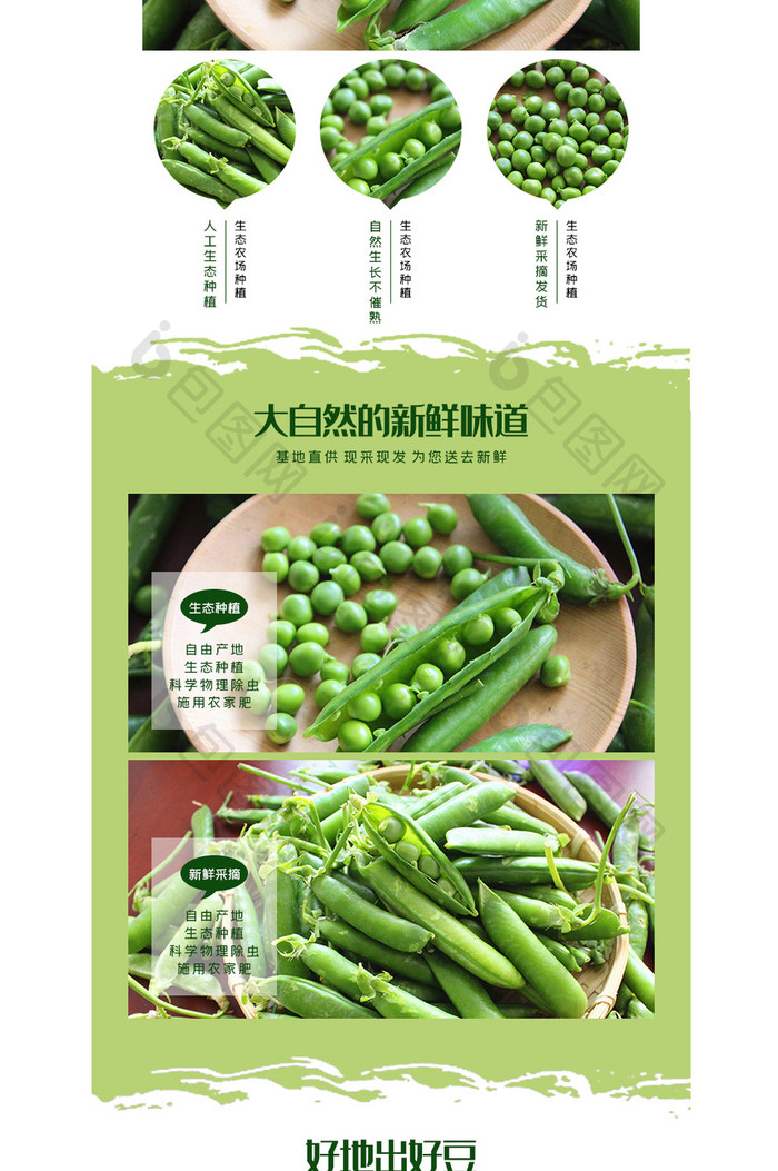 新鲜绿色蔬菜豆角豌豆角电商详情页模板