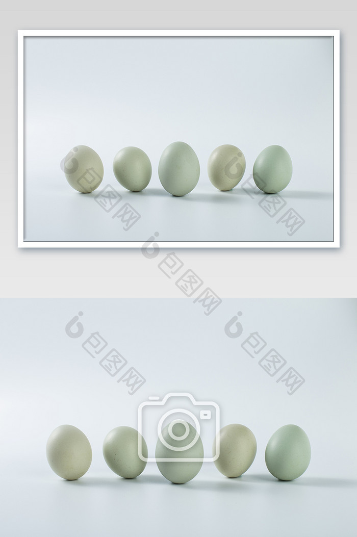 新鲜食材土鸡蛋白底高清摄影图
