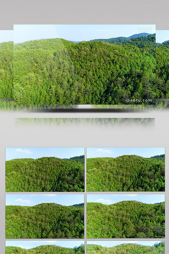 航拍绿色森林4K视频图片