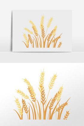 手绘金色成熟麦穗小麦插画