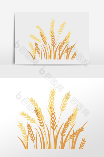 手绘金色成熟麦穗小麦插画图片
