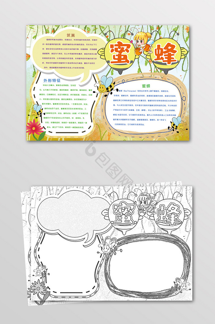 蜜蜂昆虫手抄报黑白线描小报