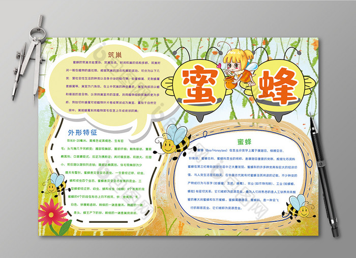 蜜蜂昆虫手抄报黑白线描小报图片