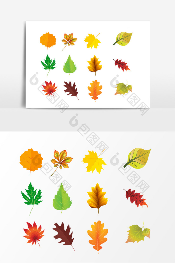 秋天树叶叶片设计元素