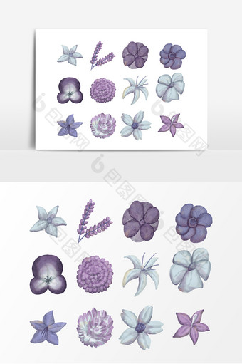 紫色花朵植物设计元素图片