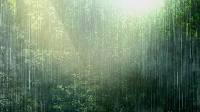 下雨绿色森林晚会企业宣传合成背景视频
