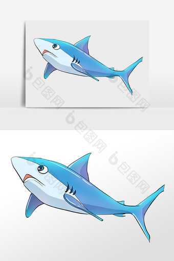手绘海洋生物大鲨鱼插画图片